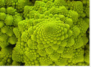 L'info aujourd'hui est "fractale", à l'image d'un chou romanesco